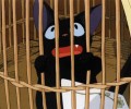 Kiki's Delivery Service /    / 魔女の宅急便 /  / Kiki_maxiol_galery_016.jpg