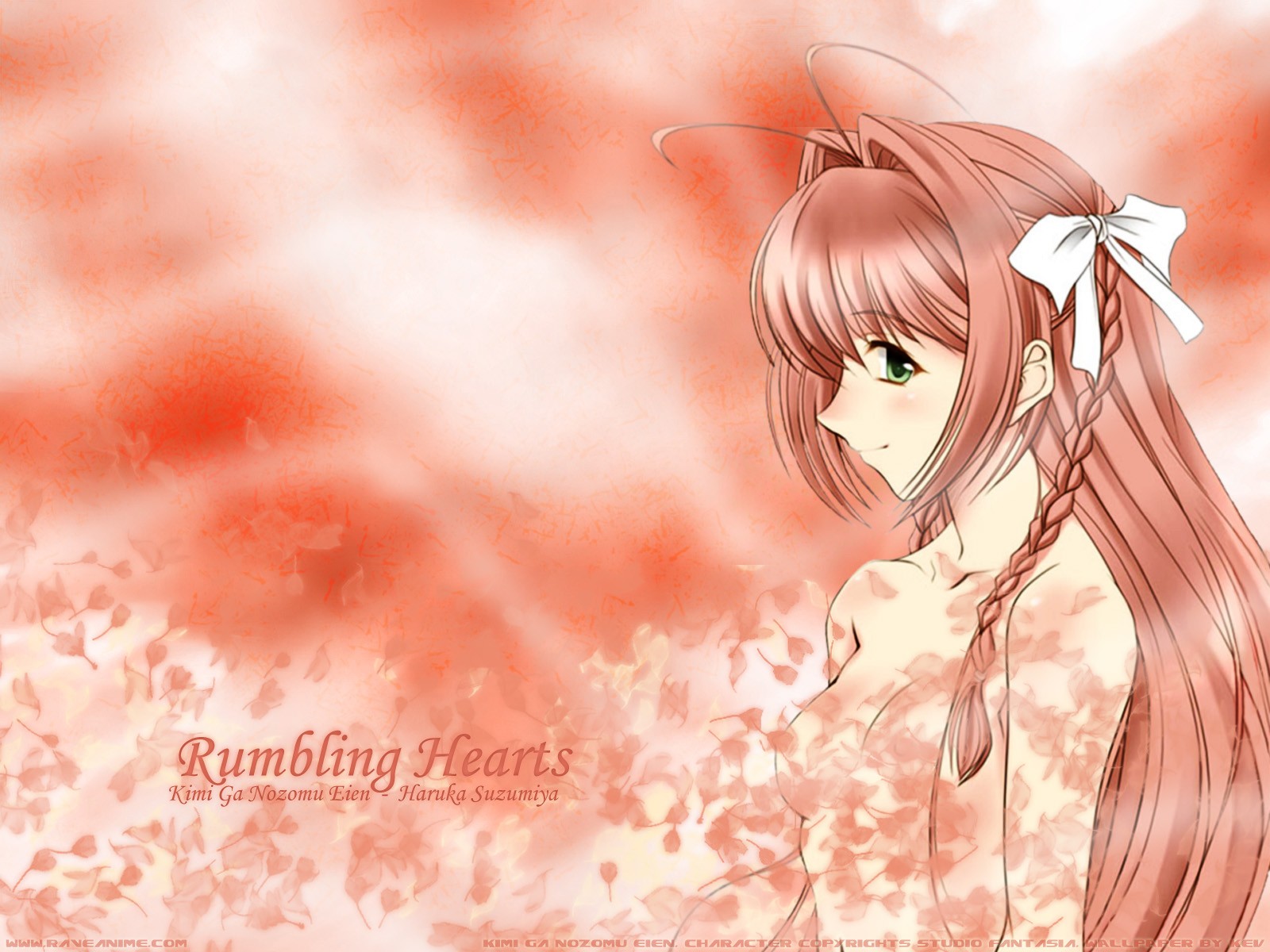 Kimi Ga Nozomu Eien /   /    /  2 / maxiol_kimiga_94802_.jpg