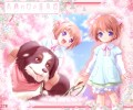 Komorebi no Namikimichi /  / komorebi_no_namikimichi_maxiol_galery_004.jpg