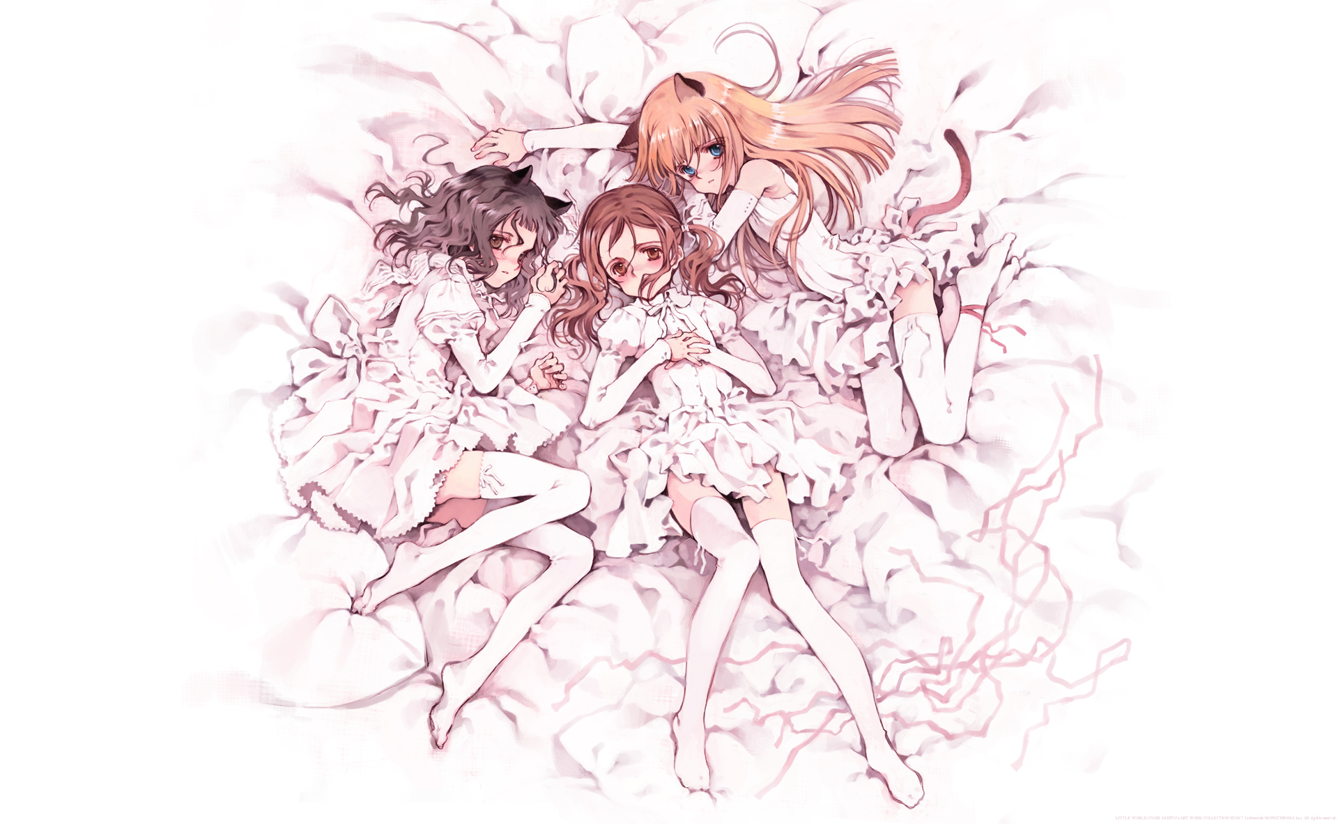 Little Witch /  / maxiol_littlewitch_119476_.jpg