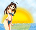 Love Hina /  / Love_Hina_maxiol_galery_148.jpg