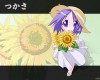 Lucky Star /   / らきすた /  2 / maxiol_Lucky_Star_wallpaper_2_191105_.jpg