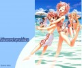 Mahou Sensei Negima /   ! / ネギま!?　夏 /  / maxiol_Mahou_Sensei_Negima_wallpaper_115434_.jpg