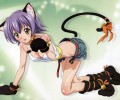 Mahou Sensei Negima /   ! / ネギま!?　夏 /  / maxiol_Mahou_Sensei_Negima_wallpaper_115452_.png