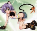 Mahou Sensei Negima /   ! / ネギま!?　夏 /  / maxiol_Mahou_Sensei_Negima_wallpaper_115484_.png