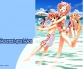 Mahou Sensei Negima /   ! / ネギま!?　夏 /  / maxiol_Mahou_Sensei_Negima_wallpaper_115552_.jpg