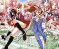 Mahou Tsukai Tai ( Magic Users Club /    ) /  / maxiol_mahou_sensei_negima_134023_.jpg