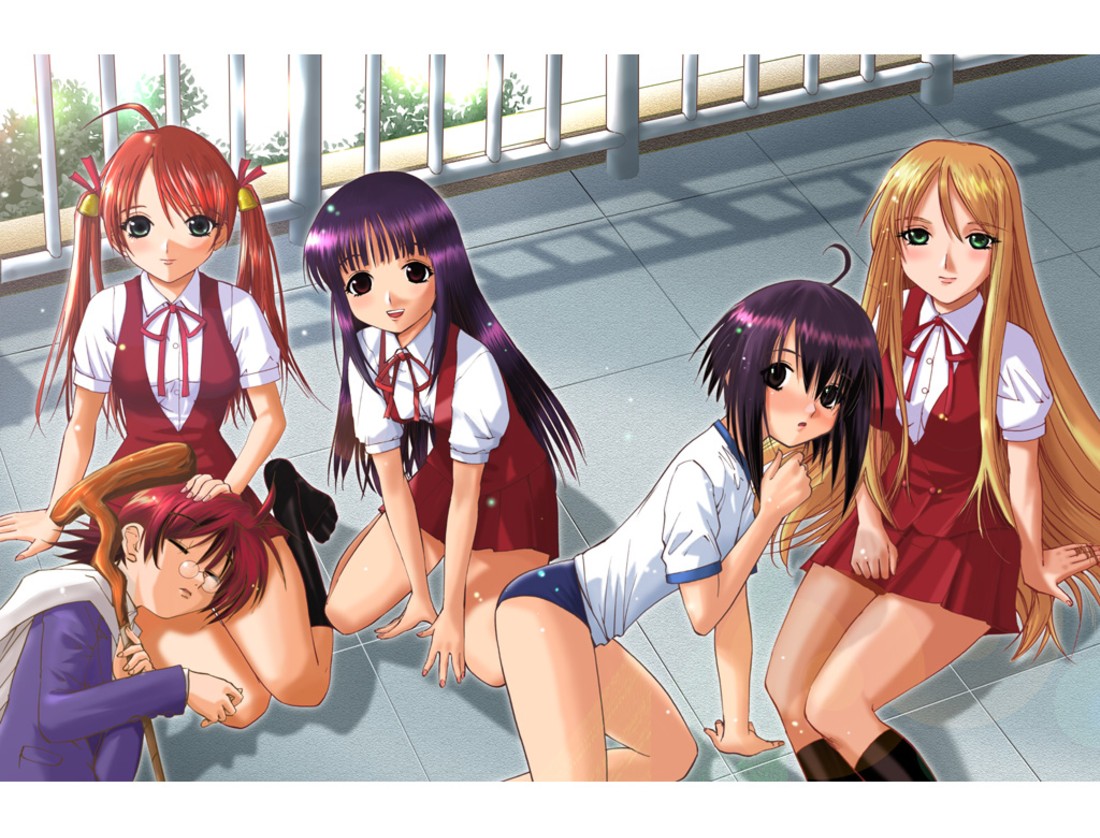 Mahou Tsukai Tai ( Magic Users Club /    ) /  / maxiol_mahou_sensei_negima_134030_.jpg