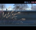 Makoto Shinkai /  / maxiol_makoto_shinkai_86998_.jpg