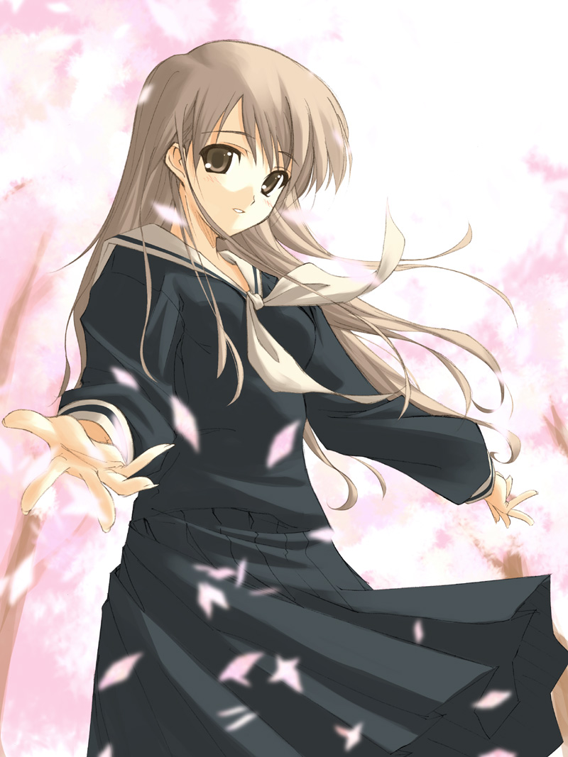 Maria-sama Ga Miteru /      /  / maxiol_maria_sama_ga_miteru_134414_.jpg