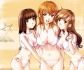 Maria-sama Ga Miteru /      /  / maxiol_maria_sama_ga_miteru_134471_.jpg