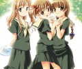 Maria-sama Ga Miteru /      /  / maxiol_maria_sama_ga_miteru_134518_.jpg