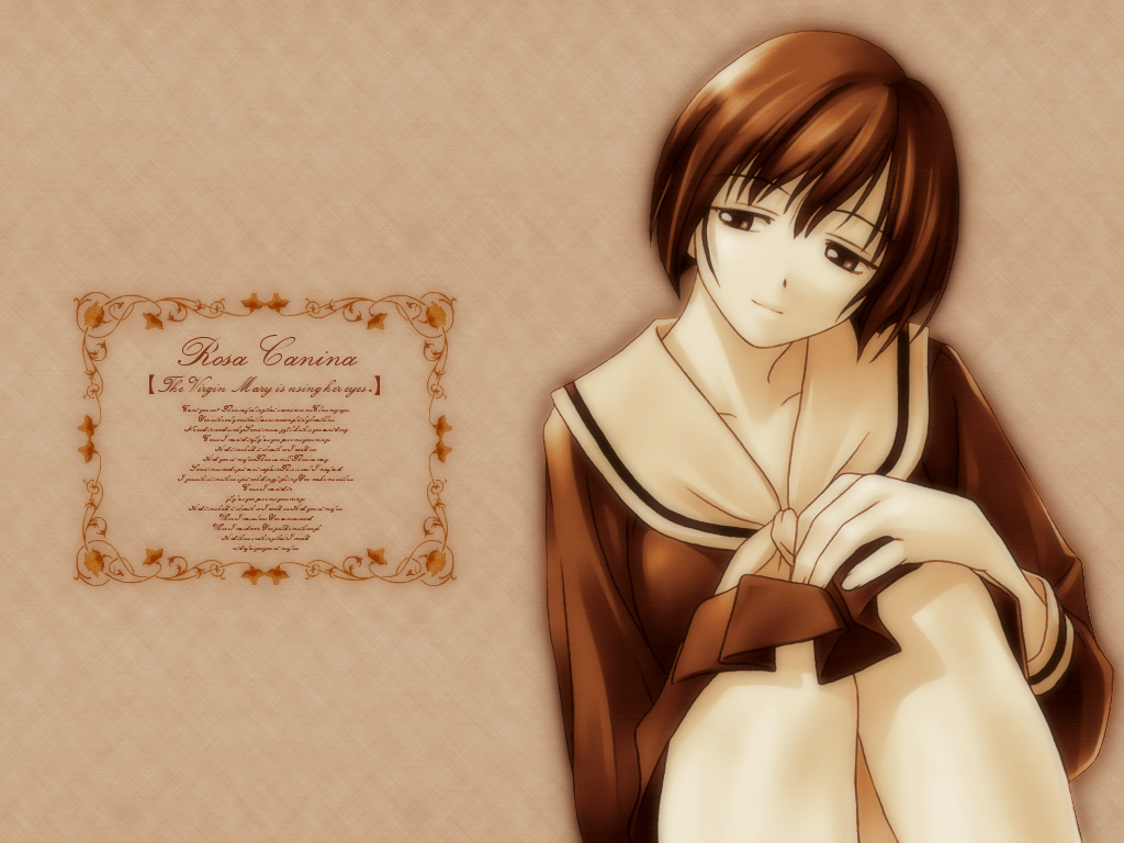 Maria-sama Ga Miteru /      /  / maxiol_maria_sama_ga_miteru_134534_.jpg