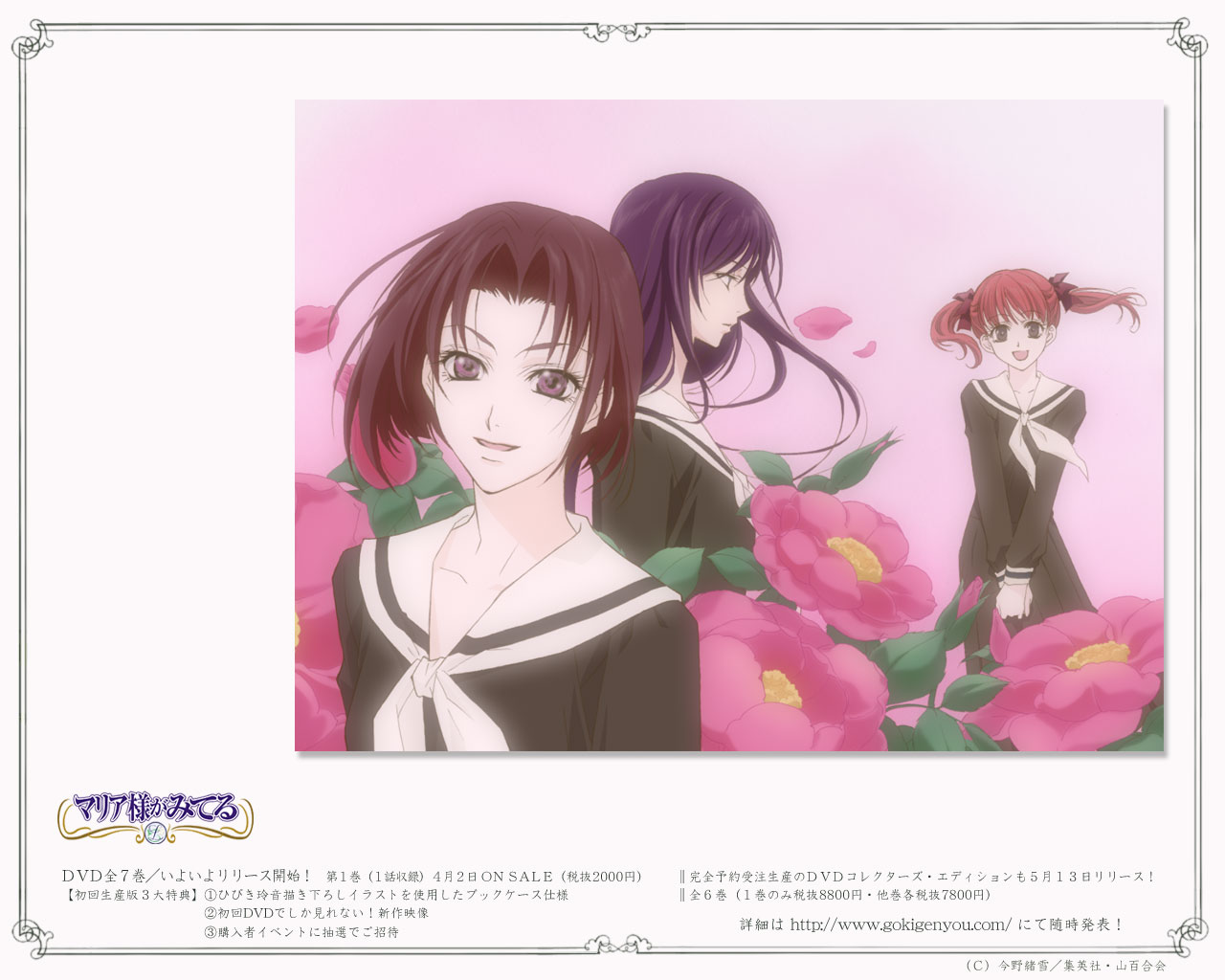 Maria-sama Ga Miteru /      /  / maxiol_maria_sama_ga_miteru_134564_.jpg