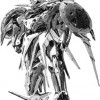 Meha Art / Meha Art 02 / maxiol_Meha_Art_2_75807_.jpg