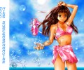 Miss Surfers Paradise /  / maxiol_Miss_Surfersparadise_95245_.jpg