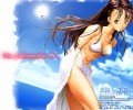 Miss Surfers Paradise /  / maxiol_Miss_Surfersparadise_95284_.jpg