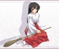 Murakami Suigun /  / maxiol_Murakami_Suigun_97434_.jpg