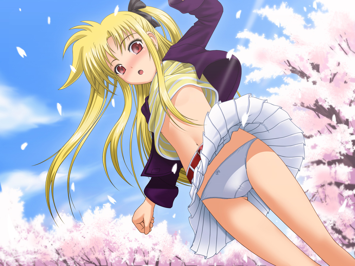 Magical Girl Lyrical Nanoha/    /  / maxiol_magical_girl_lyrical_nanoha_133948_.jpg