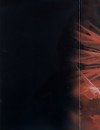 Neon Genesis Evangelion (  ) / Der Mond / maxiol_Der_Mond_86162_.jpg
