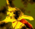Neon Genesis Evangelion (  ) /  / maxiol_evangelion_84270_.jpg