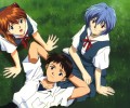 Neon Genesis Evangelion (  ) /  / maxiol_evangelion_84407_.jpg