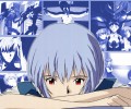 Neon Genesis Evangelion (  ) /  / maxiol_evangelion_84678_.jpg