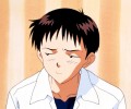 Neon Genesis Evangelion (  ) /  / maxiol_evangelion_84910_.jpg