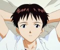 Neon Genesis Evangelion (  ) /  / maxiol_evangelion_85100_.jpg