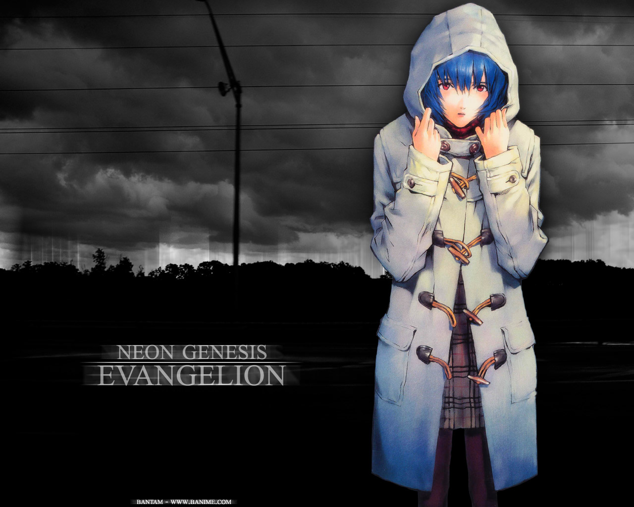 Neon Genesis Evangelion (  ) /  / maxiol_evangelion_85348_.jpg