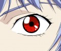 Neon Genesis Evangelion (  ) /  / maxiol_evangelion_85434_.jpg