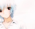 Neon Genesis Evangelion (  ) /  / maxiol_evangelion_85469_.jpg