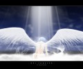 Neon Genesis Evangelion (  ) /  / maxiol_evangelion_85539_.jpg