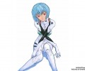 Neon Genesis Evangelion (  ) /  2 / evangelion_maxiol_galery_061.jpg