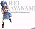 Neon Genesis Evangelion (  ) /  2 / evangelion_maxiol_galery_430.jpg