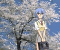 Neon Genesis Evangelion (  ) /  2 / evangelion_maxiol_galery_439.jpg