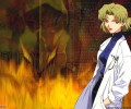 Neon Genesis Evangelion (  ) /  2 / evangelion_maxiol_galery_607.jpg