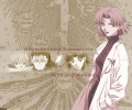 Neon Genesis Evangelion (  ) /  2 / evangelion_maxiol_galery_654.jpg