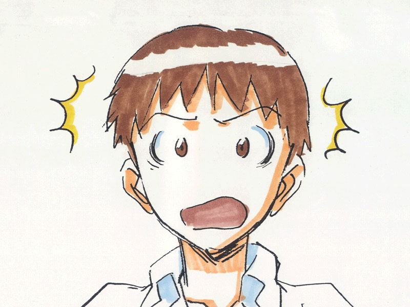 Neon Genesis Evangelion (  ) /  2 / evangelion_maxiol_galery_897.jpg