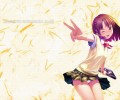 Nijiro Zakura /  / Nijiro_Zakura_maxiol_galery_007.jpg