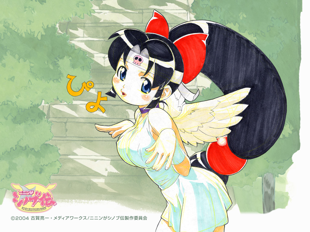 Ninin Ga Shinobuden/   -  /ニニンがシノブ伝 /  / ninin_ga_shinobuden_maxiol_galery_022.jpg