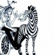 One Piece / ワンピース / Group () / maxiol_one_piece_Group_155725_.jpg