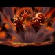 One Piece / ワンピース / Group () / maxiol_one_piece_Group_155907_.jpg