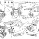 One Piece / ワンピース / Sketch ART () / maxiol_one_piece_Sketch_ART_197477_.png