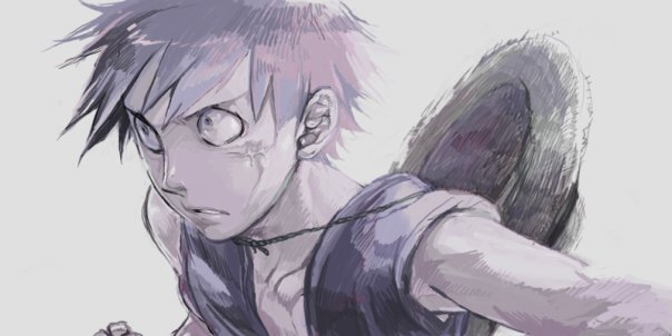 One Piece / ワンピース /  (characters) / Luffy / maxiol_one_piece_Luffy_158463_.jpg