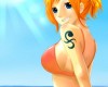 One Piece / ワンピース /  (characters) / Nami / maxiol_one_piece_Nami_158869_.jpg