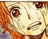 One Piece / ワンピース /  (characters) / Nami / maxiol_one_piece_Nami_158872_.jpg
