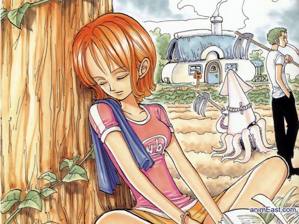 One Piece / ワンピース /  (characters) / Nami / maxiol_one_piece_Nami_158899_.jpg