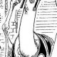 One Piece / ワンピース /  (characters) / Others / maxiol_one_piece_Others_159098_.jpg