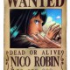 One Piece / ワンピース /  (characters) / Robin / maxiol_one_piece_Robin_159748_.jpg